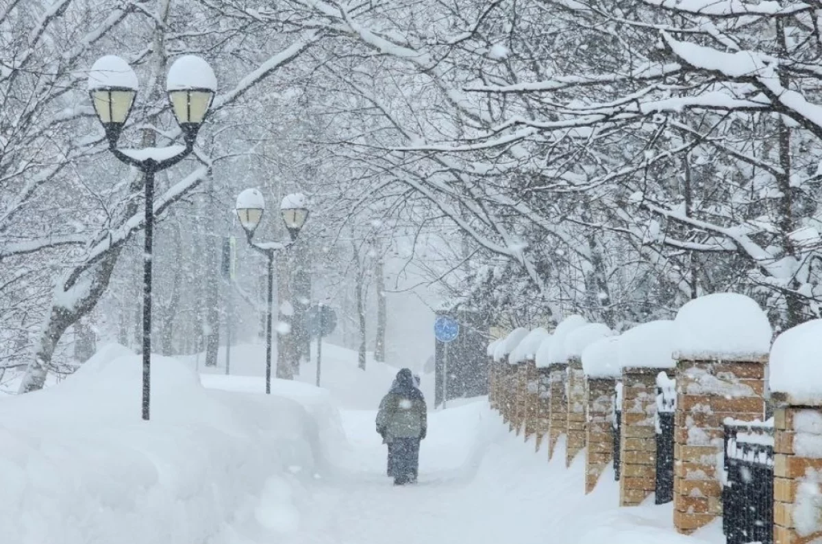 Холод и резкий ветер: какая погода будет в Хабаровском крае 17 декабря