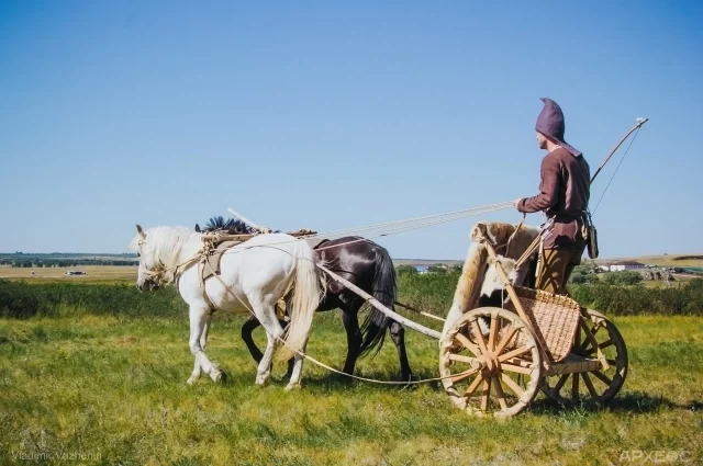 Впервые спустя несколько тысяч лет колесница древних ариев промчалась по степи