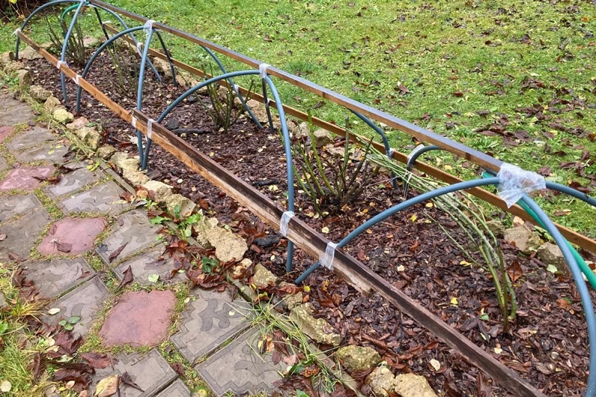 Лунный календарь дачника, садовода и огородника на 2026 год. Ноябрь