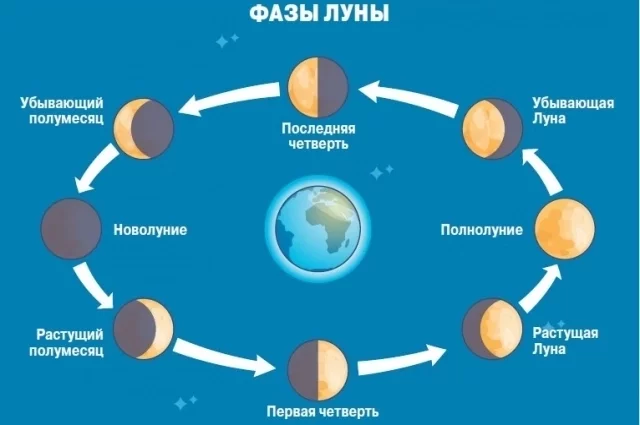 Люди давно замечали, что приливы и отливы связаны с Луной, а в сельском хозяйстве наблюдали сезонные и суточные ритмы, которые можно попытаться привязать к фазам спутника Земли. 