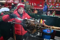 Маринование красного мяса в кислых растворах (яблочный уксус, лимонный сок, кефир, красное вино) на 90% и более снижает образование канцерогенных веществ при жарке.