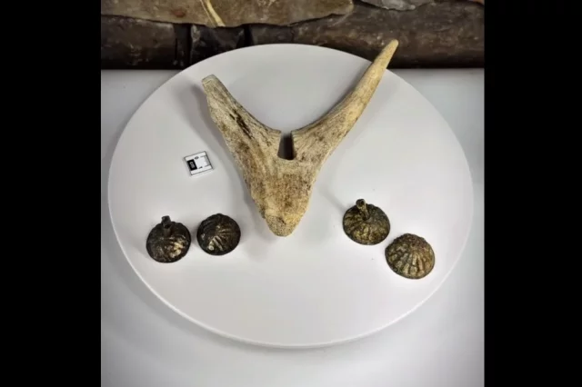 Вместе с навершием обнаружили серебряные бубенчики.