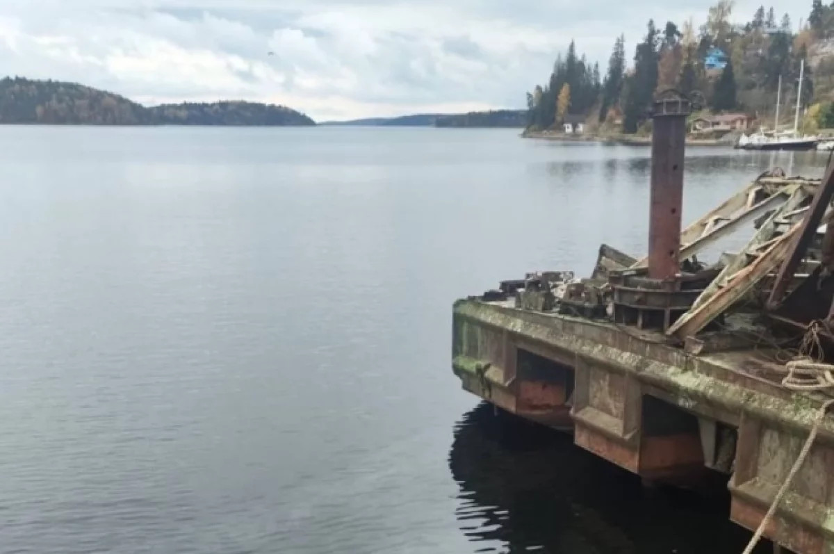 Виновника разлива нефтепродуктов в Якимварском заливе наказали штрафом