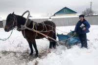 Павел Попов: «Особенно незаменима лошадь в распутицу и снегопады».