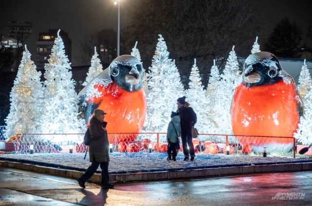 Метеорологи в своем прогнозе на зиму 2024-2025 гг. полагали, что она будет теплее климатической нормы по всей стране. Примерно так и вышло.