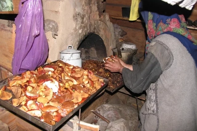 Отшельница Агафья сушит грибы