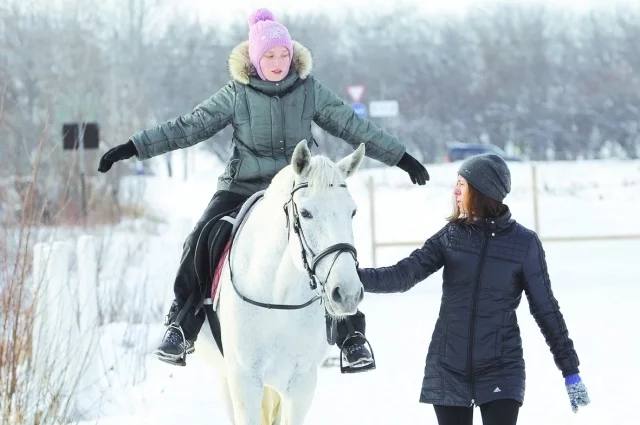 Лошади по своему сканируют людей.