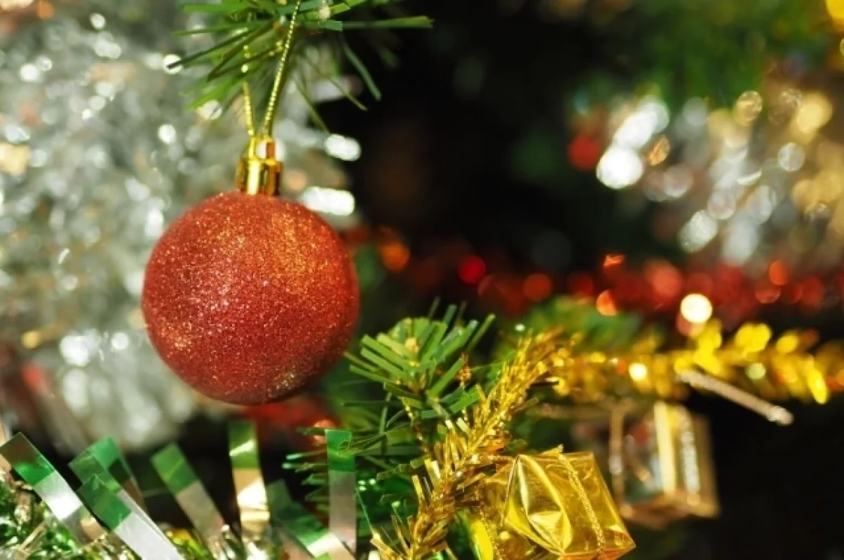 Живые новогодние елки могут принести в дом клещей? Эксперты рассказали о реальном риске