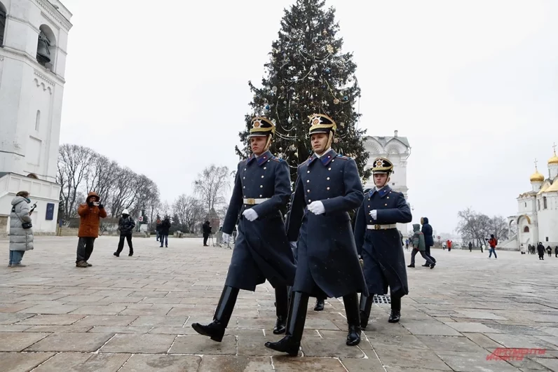Высота ели - 26 метров, охват ствола — 64 сантиметра, а размах нижних ветвей достигает 11 метров.