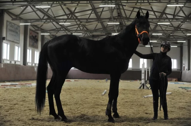 Общение с лошадью и совместные прогулки дают эмоциональную разрядку, успокаивают и дарят новые впечатления.
