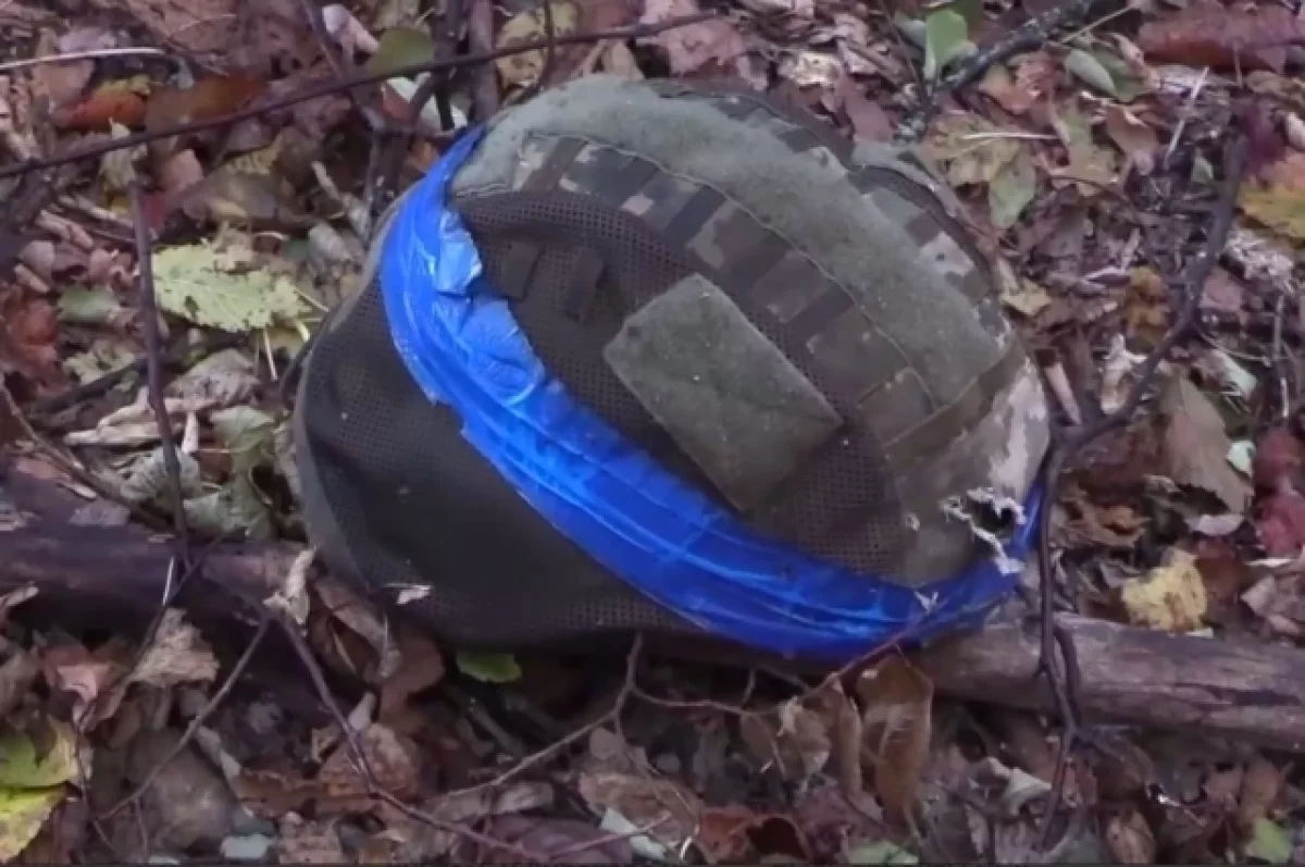 Коц: командира РДК Капустина могли убрать свои