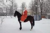 Дед Мороз прибыл в усадьбу верхом открывать новогодний фестиваль.