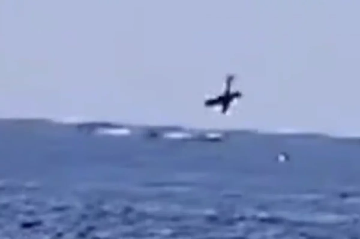 В Рио-де-Жанейро произошло смертельное крушение самолета в море