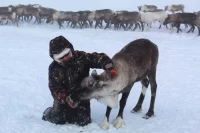 Кто-то едет за снегом и настоящей русской зимой...