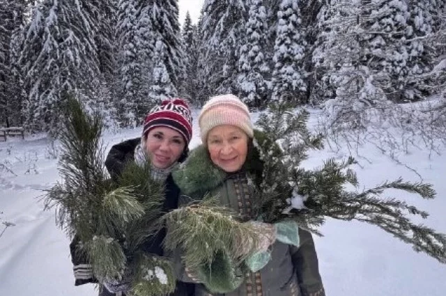 Прогулка в лесу освежает и бодрит. 