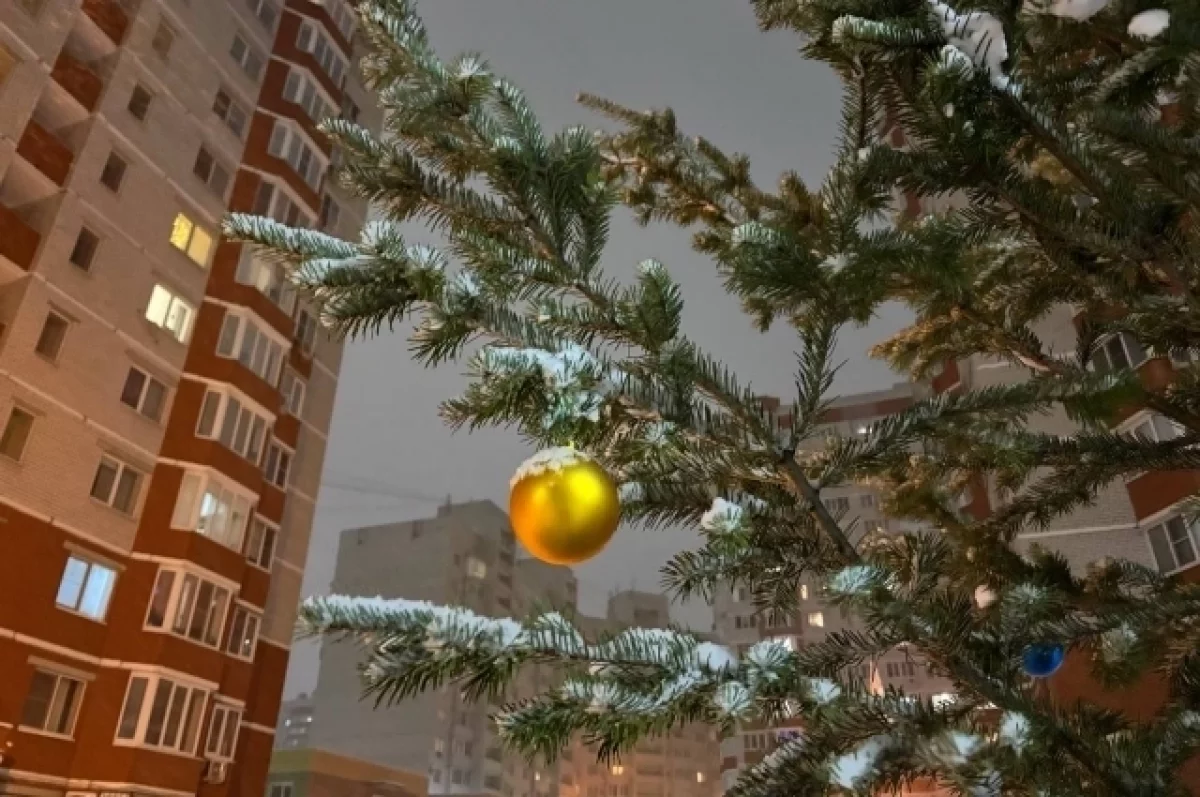 Гидрометцентр рассказал, какая погода будет в Брянской области на Новый год