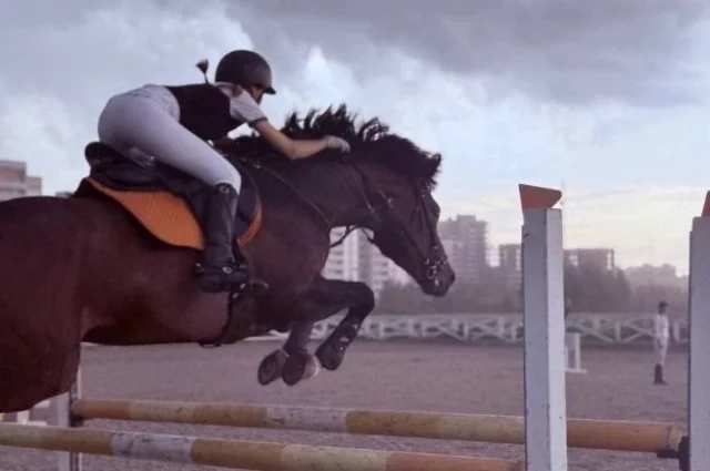 Красавец Скаут — конь с лидерскими качествами и волей к победе.