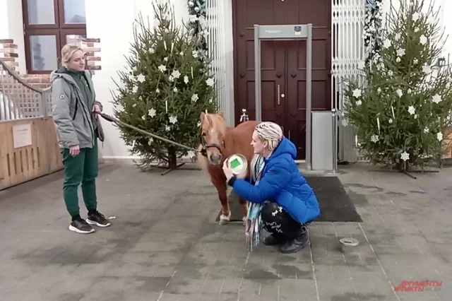 Гадание на лошади Вальдивии. 