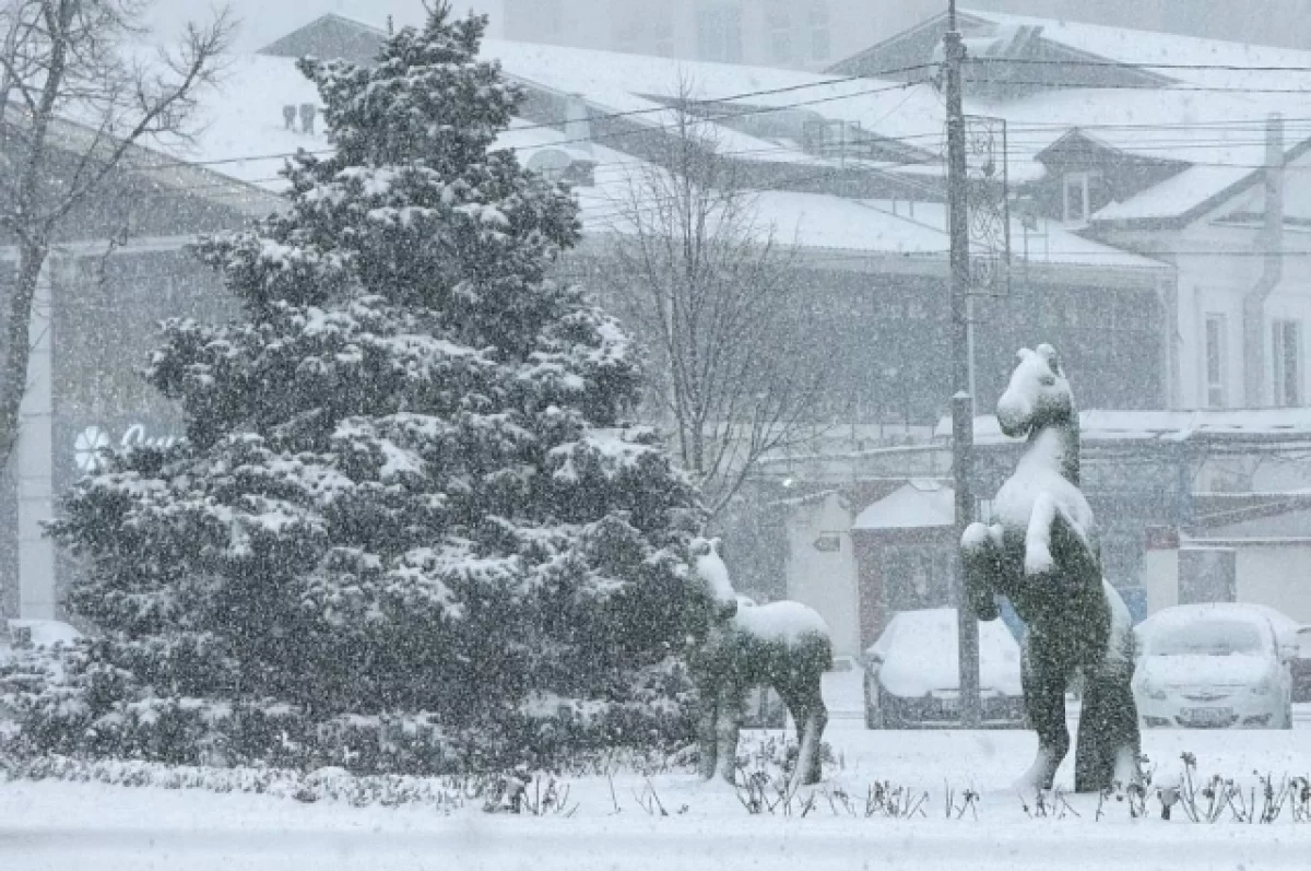 Из-за снегопада в Майкопе временно не курсируют автобусы и троллейбусы