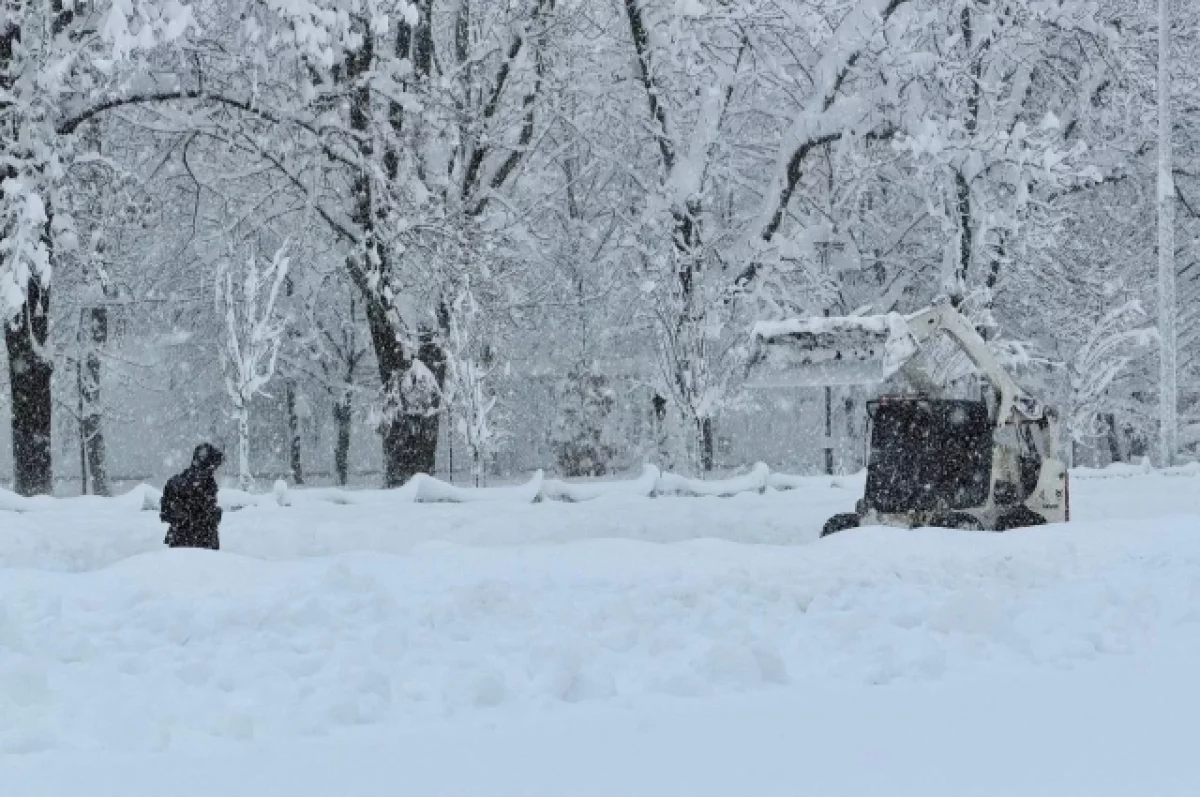 В нескольких районах Адыгеи власти ввели режим ЧС из-за снегопада
