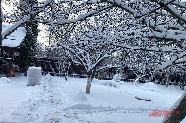 Проверьте и уберите сломанные под тяжестью снега ветви.