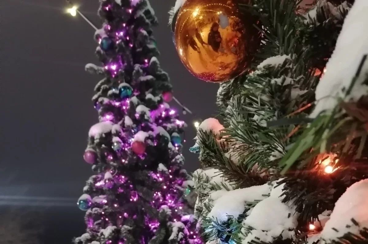 Руководители Брянщины поздравили жителей региона с Новым годом и Рождеством