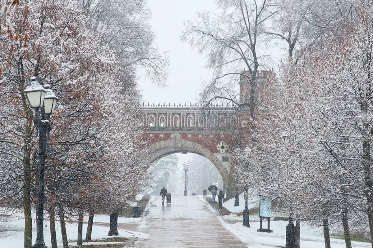 Зима в феврале. Прогноз погоды на 2026 в Москве от климатолога Клименко