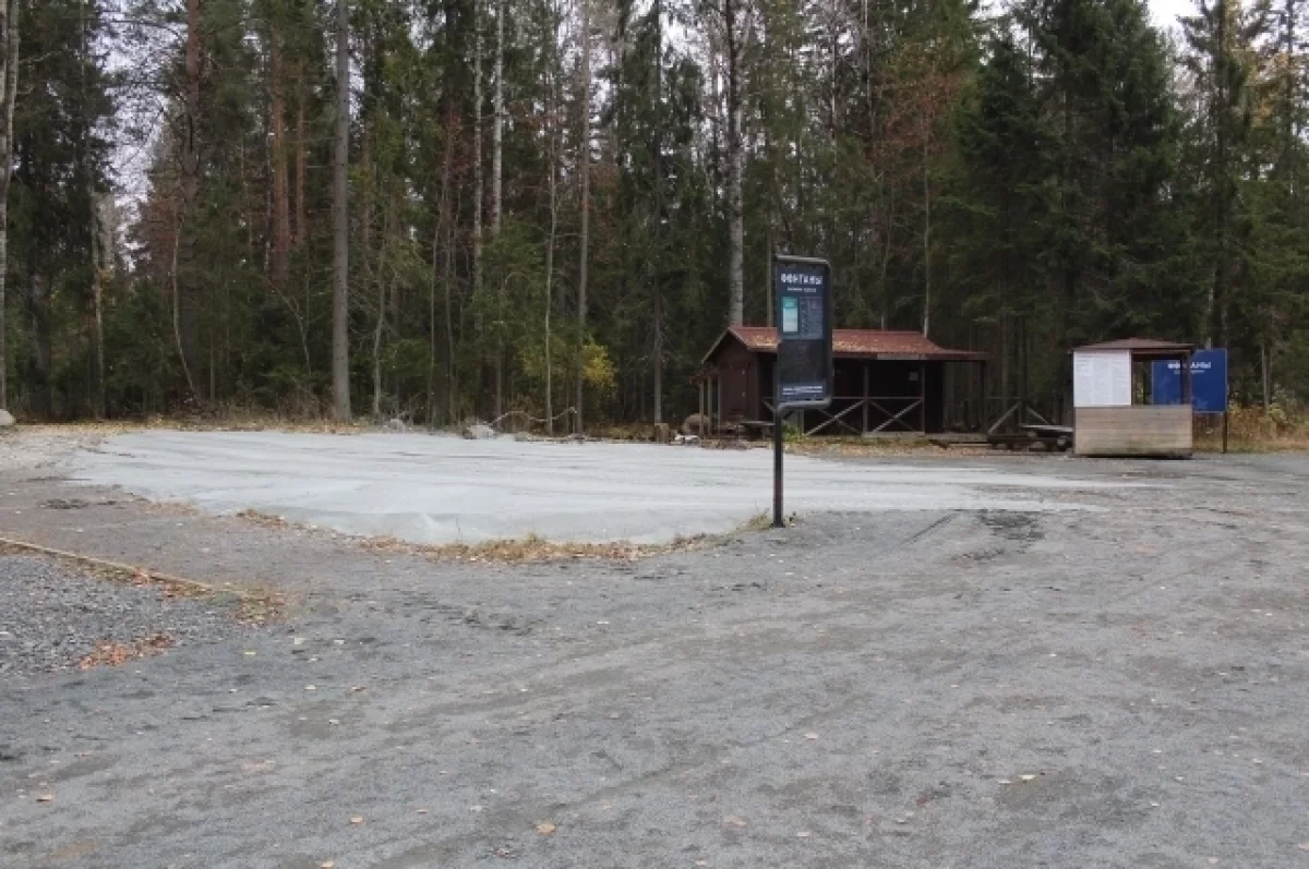 Петрозаводчан пригласили на встречу с Дедом Морозом на трассе Фонтаны