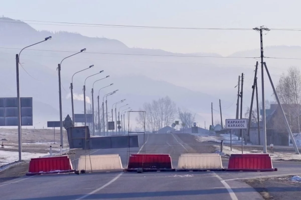 На Алтае продолжается борьба со вспышкой пастереллёза