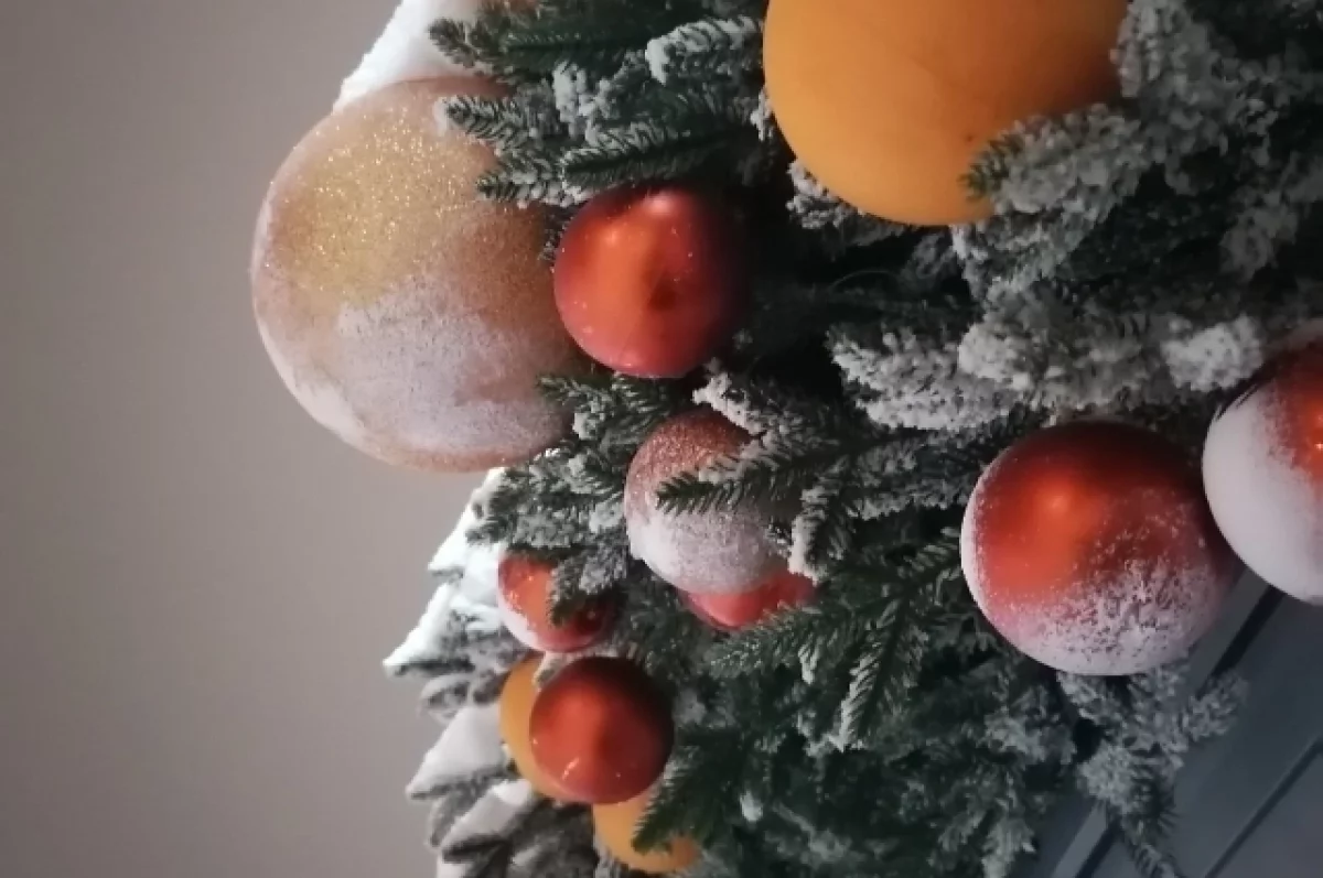 Жителей и гостей Владимира приглашают встретить Рождество в парках