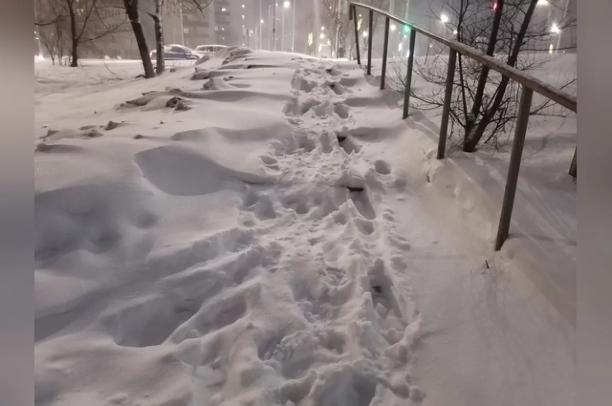 В Новосибирской области спасатели вытащили женщину из сугроба