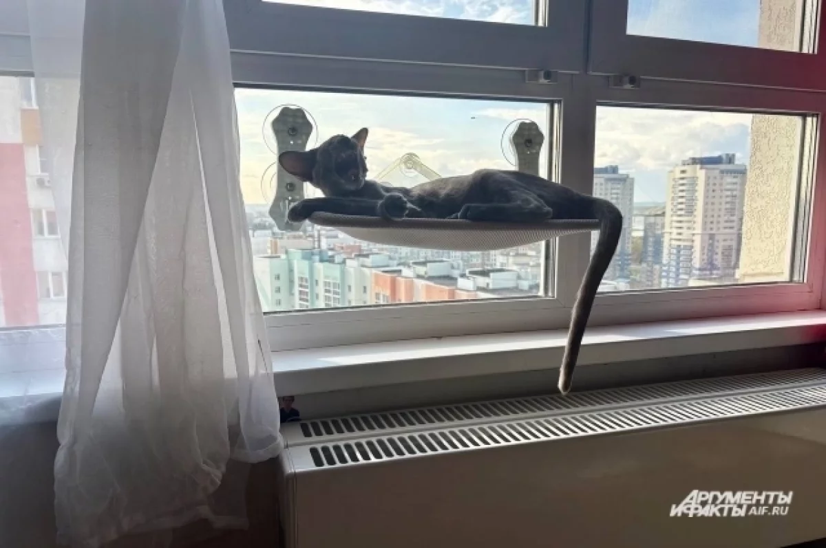 В Стрежевом просят не платить счета за ЖКХ через приложение СТЭС