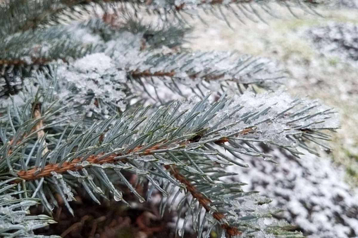 Погода без осадков и морозы до -37 ожидаются 5 января в Забайкалье