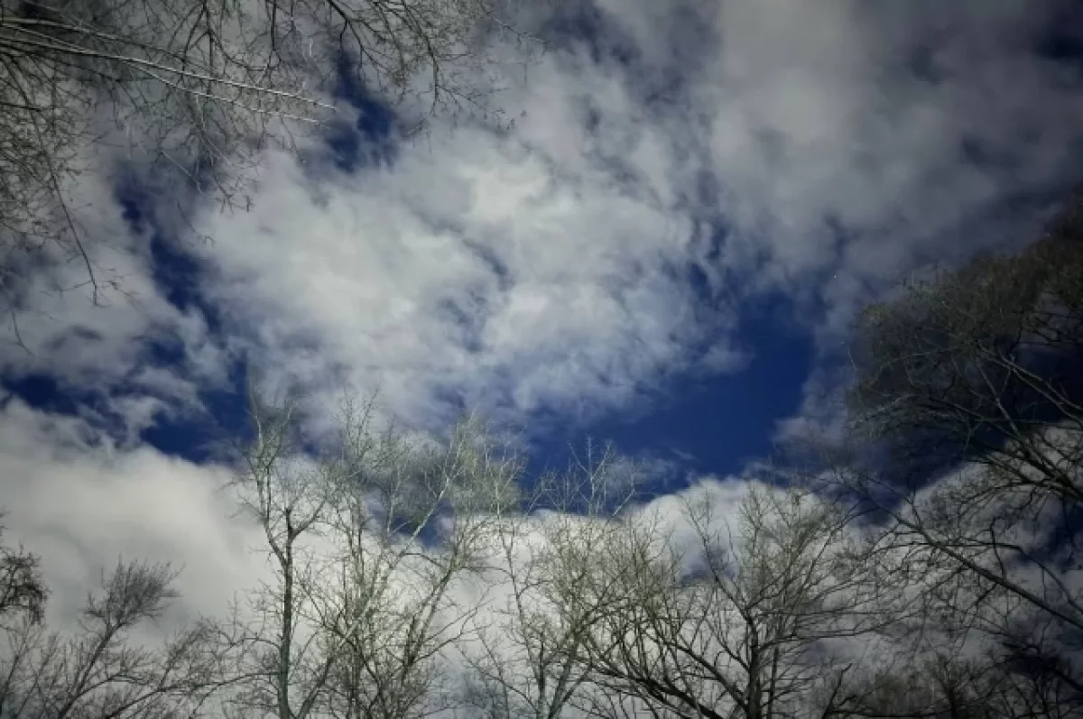 Гусев: несколько БПЛА уничтожили в небе над Воронежской областью