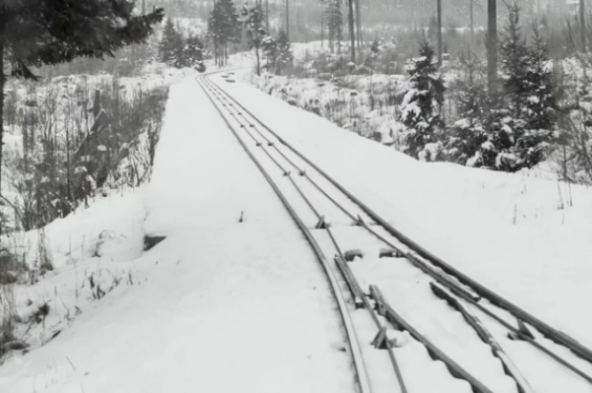 Три человека погибли под грузовым поездом в Иркутской области