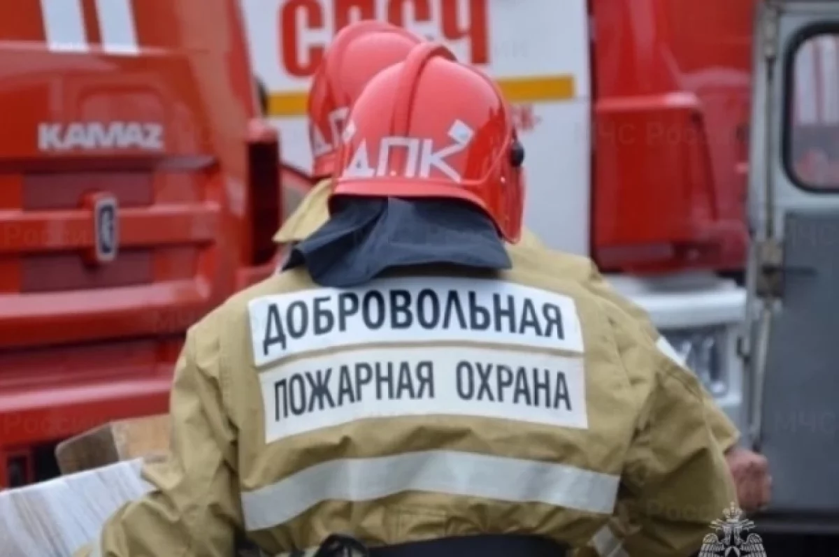 За прошлый год камчатские добровольцы помогли потушить 17 пожаров