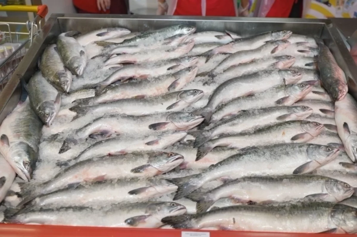 Итоги проекта «Рыба Камчатская» за 2025 год подвели в регионе