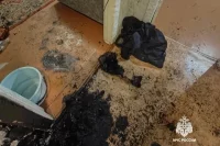 В этот же день пожар произошёл в квартире дома по проспекту Гая в Ульяновске.