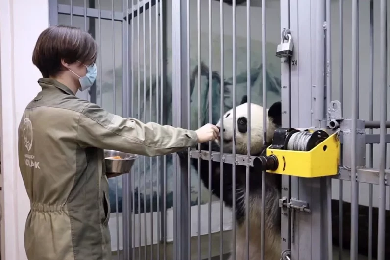 Юная Катюша послушно выполняет все задания специалистов.