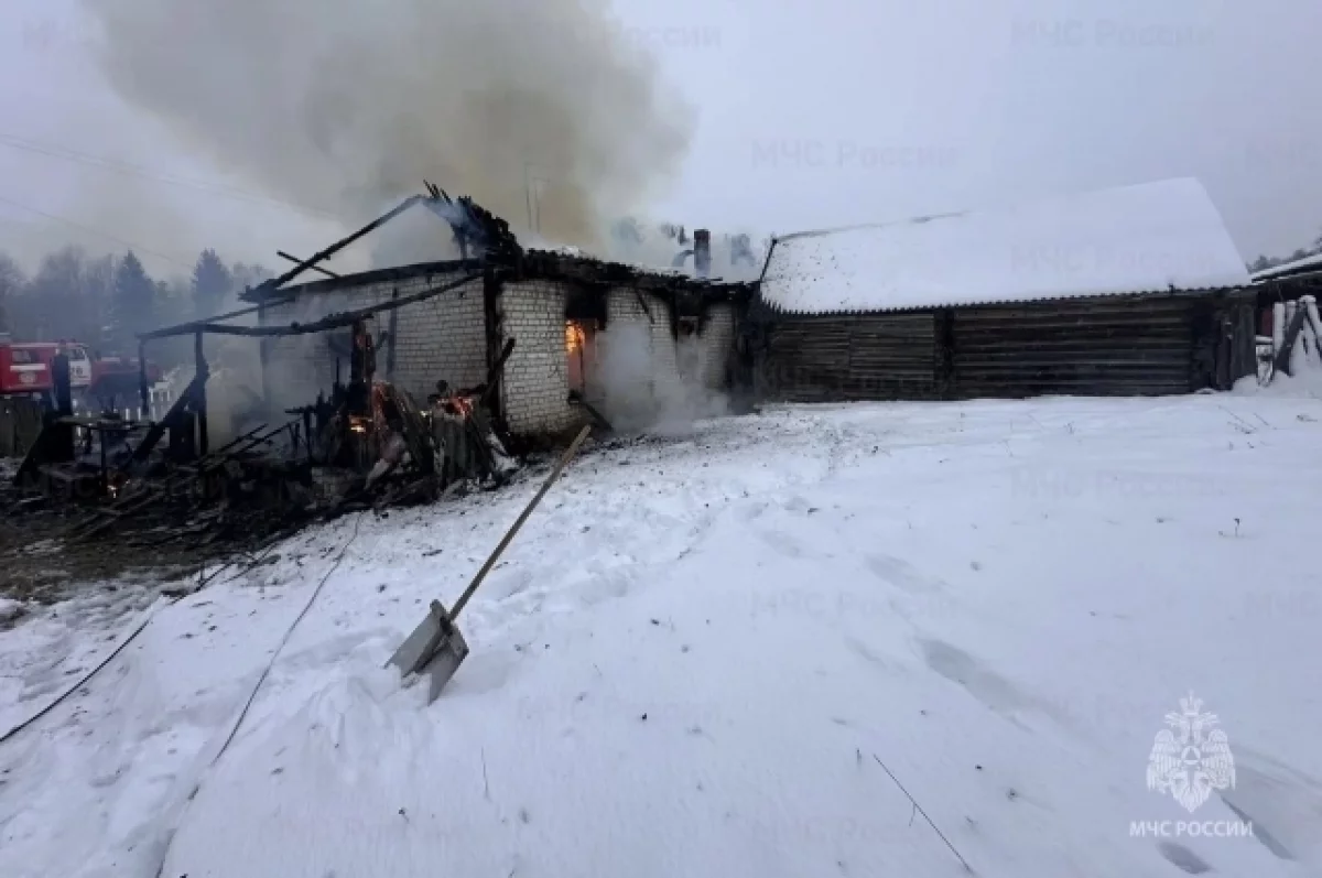 На пожаре в брянской деревне Алешинка погиб мужчина