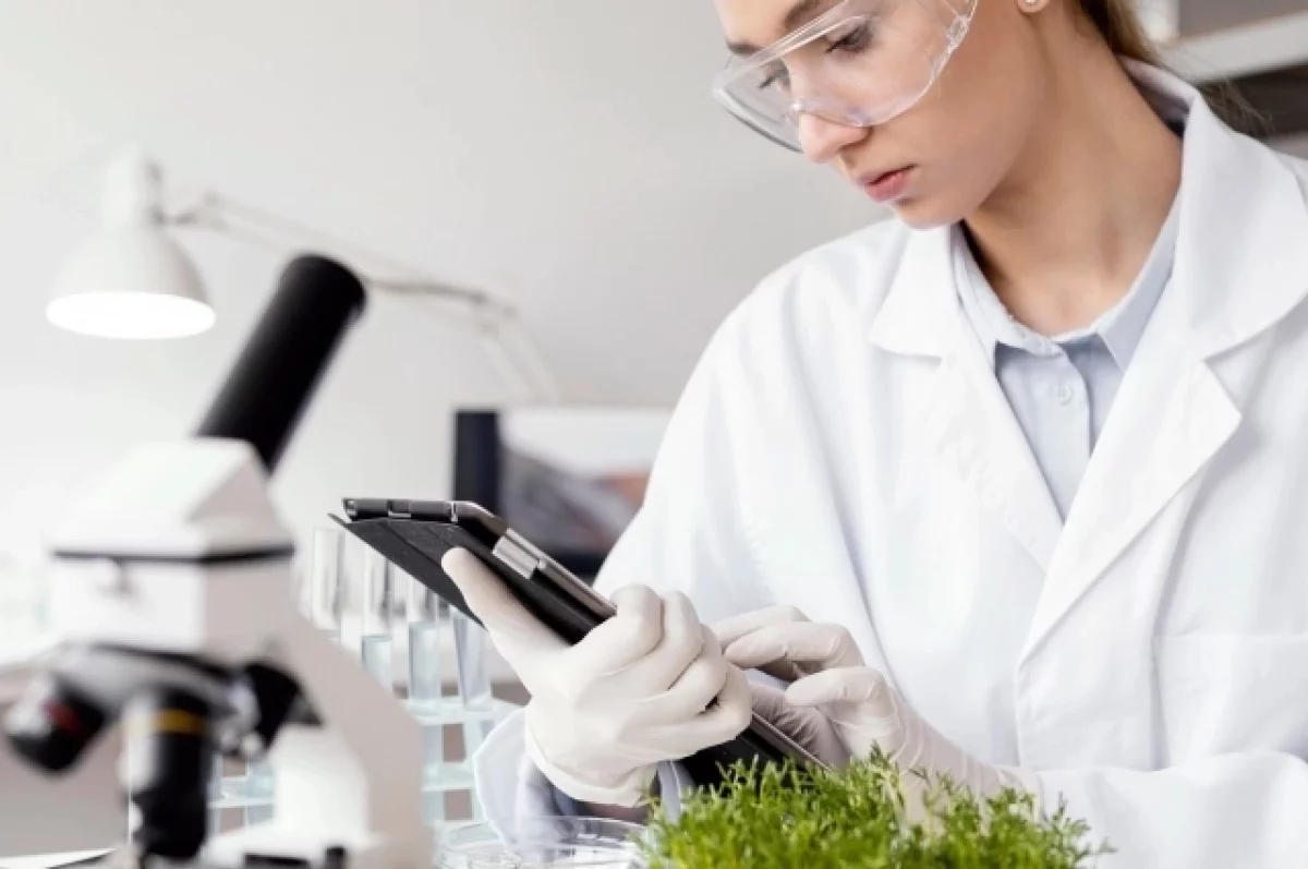 В Алтайском крае ученые выращивают сою без химии