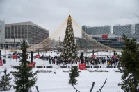 В эти дни пройдет много увлекательных мероприятий.