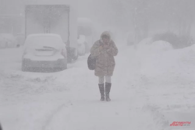 На Москву «напал» мощный снежный циклон, получивший имя «Фрэнсис».