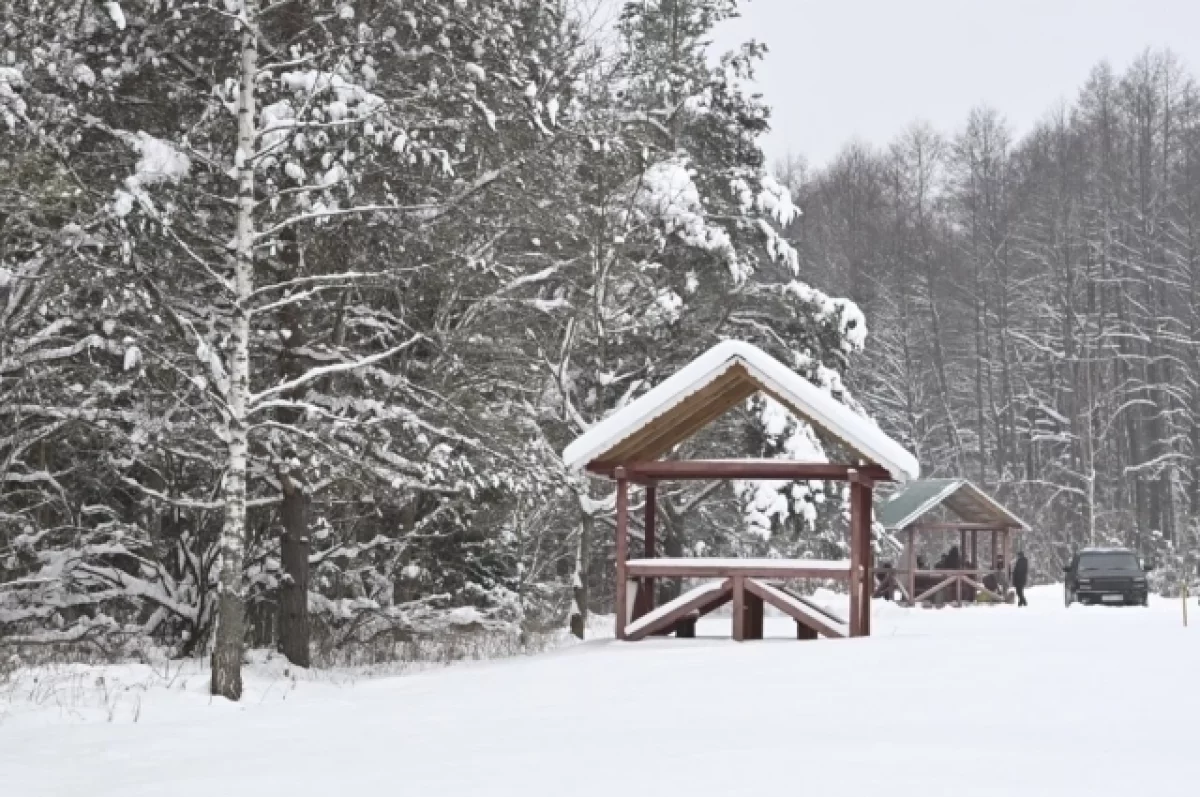 В Брянской области благоустроят озеро Бежань и расчистят русло реки Десны