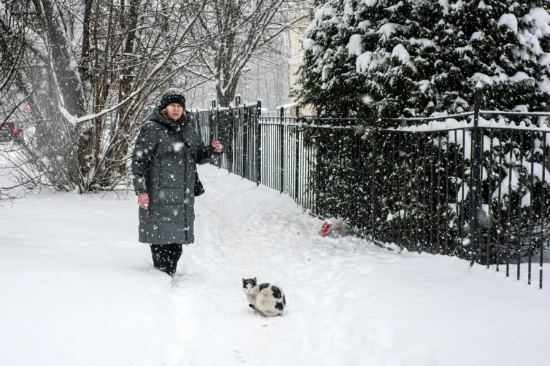 Снегопад в Санкт-Петербурге.