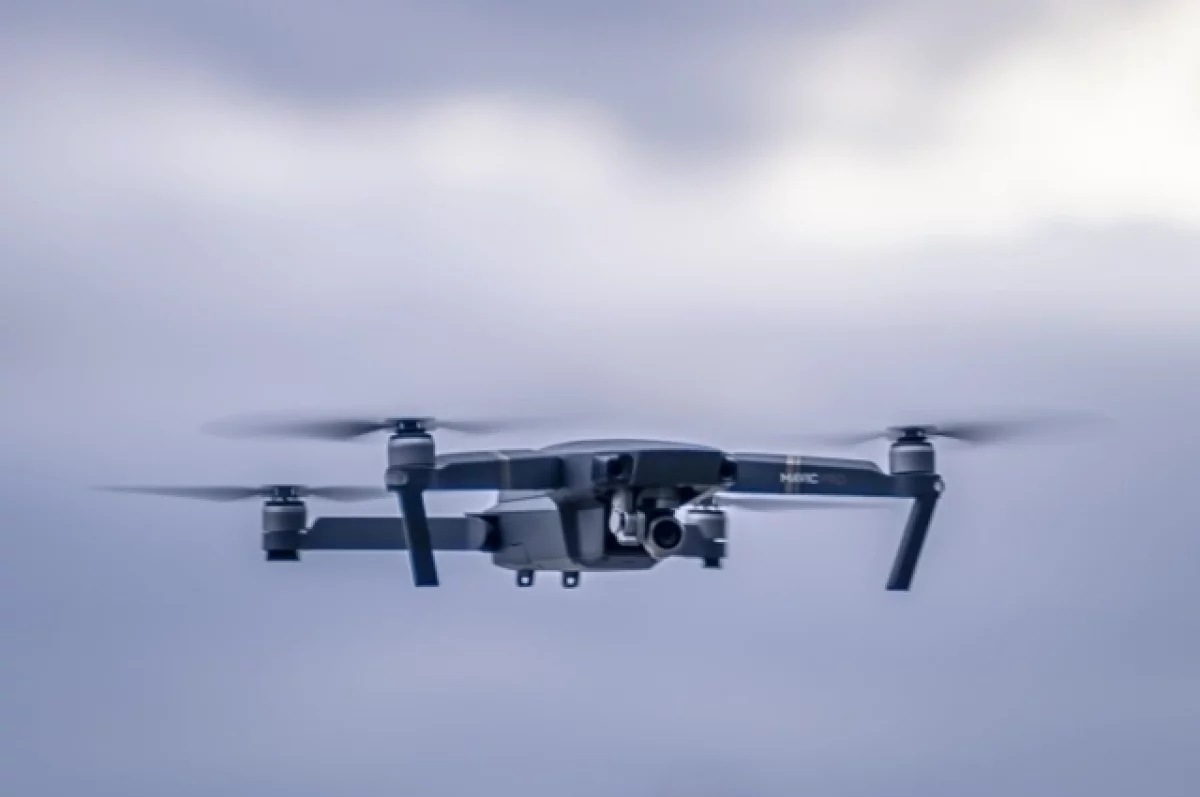 Над Брянской областью уничтожили шесть вражеских дронов в ночь на 11 января