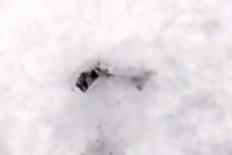 В интересах группировки отработало и звено вертолетов. Так, Ми-28нм уничтожил живую силу и бронированную технику ВСУ. Удар наносился авиационными ракетами по разведанным и подтвержденным целям.