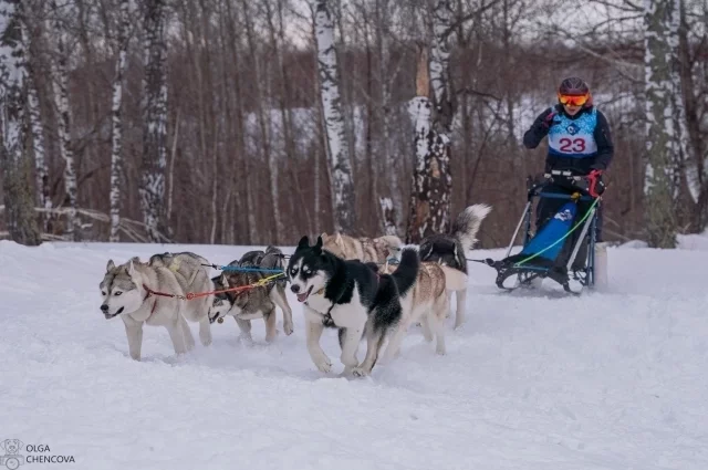 Фото предоставлены фотографом СФЕС НСО Ольгой Ченцовой