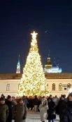 «Золотая» ёлка на фоне башни Сююмбике и Благовещенского собора. 