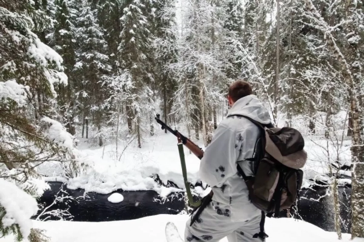 В Пудожском районе охотники застрелили волчицу